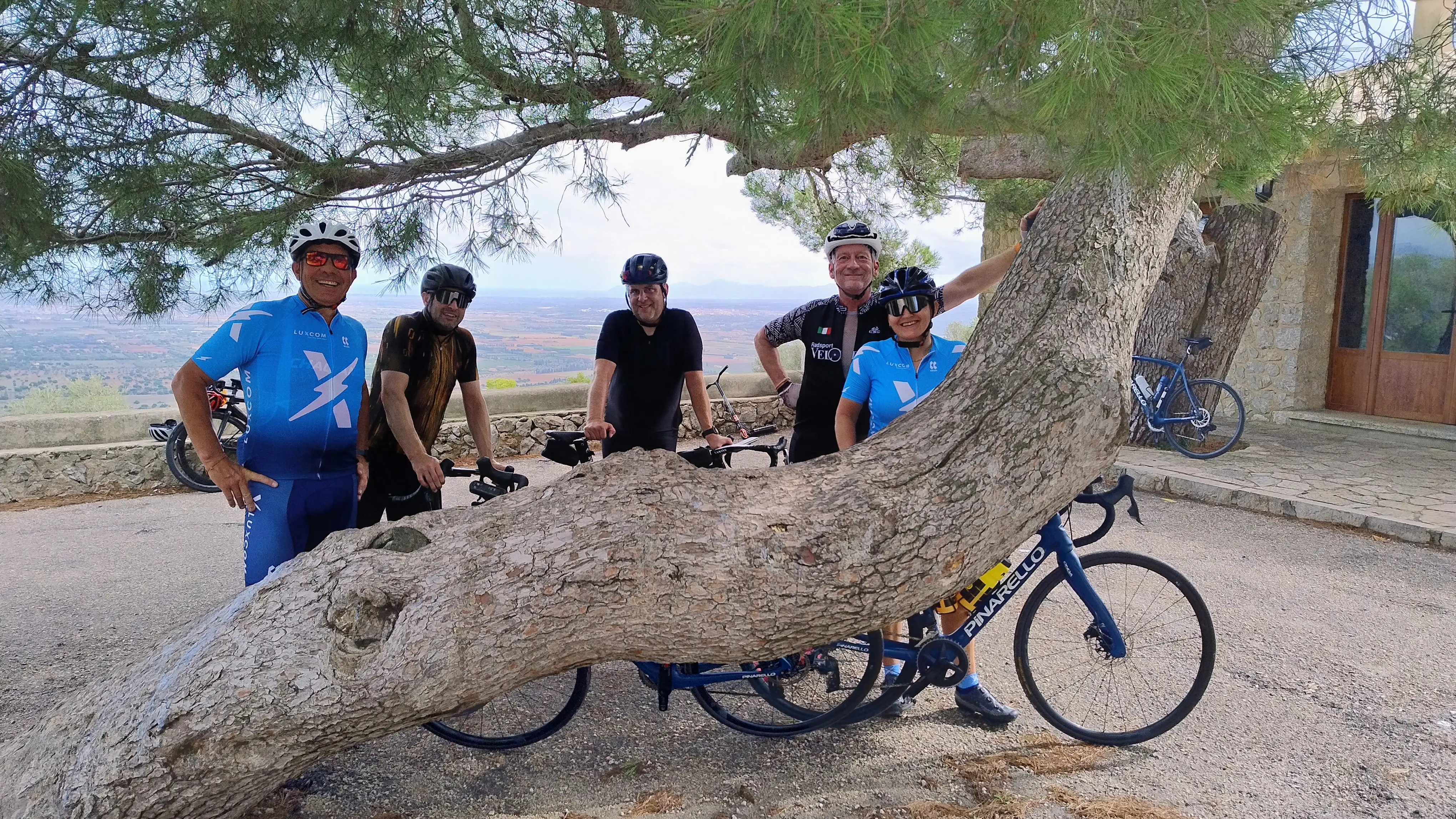 Can Picafort - Muro - Puig de Inca und Maffaytal zurück : Foto 3 von 3 der Tour