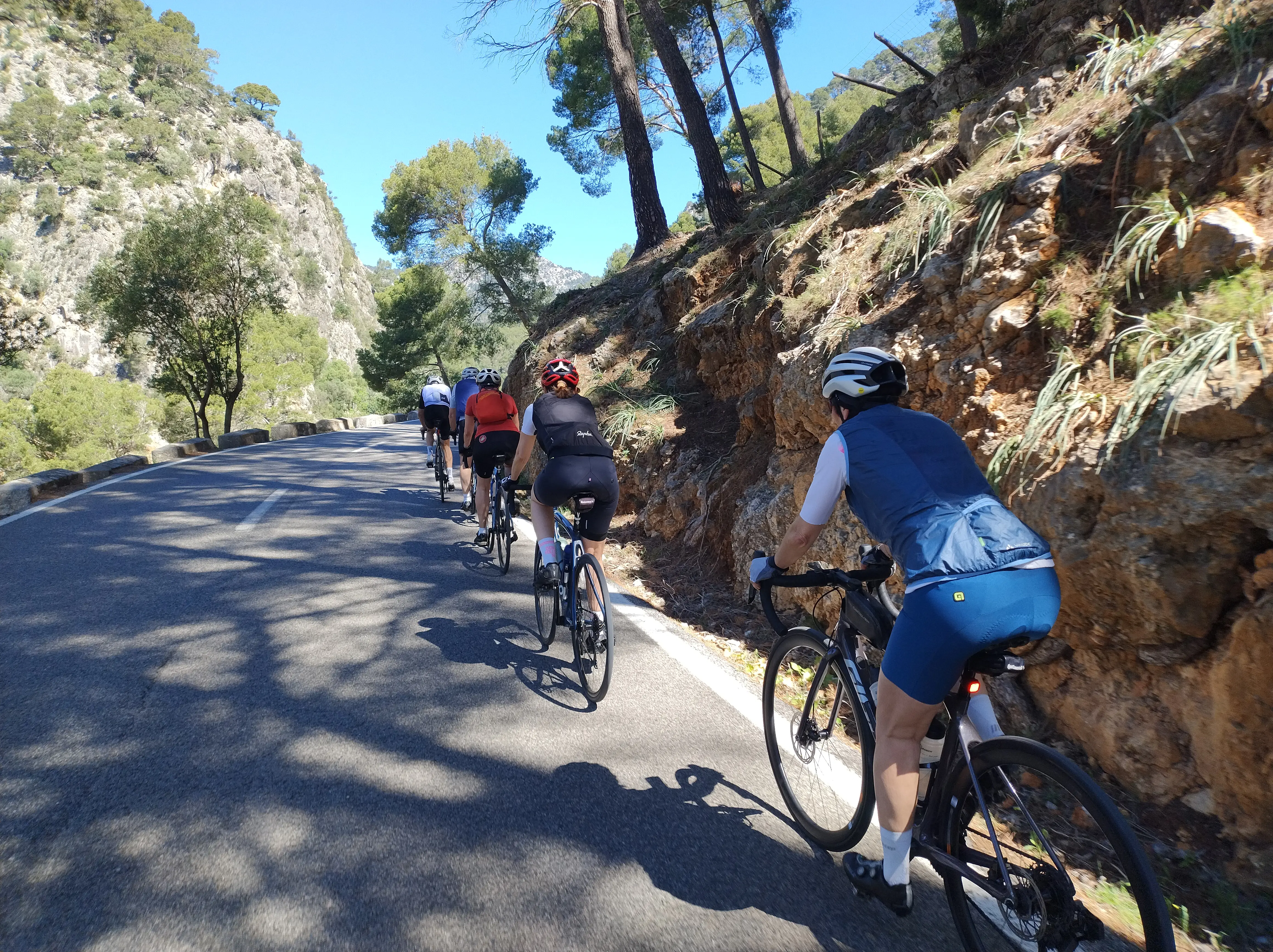 Gärten, Maffay Tal, Caimari, Tankstelle, Kloster Lluc, Pollenca, Alcudia : photo 2 of 3 from the ride
