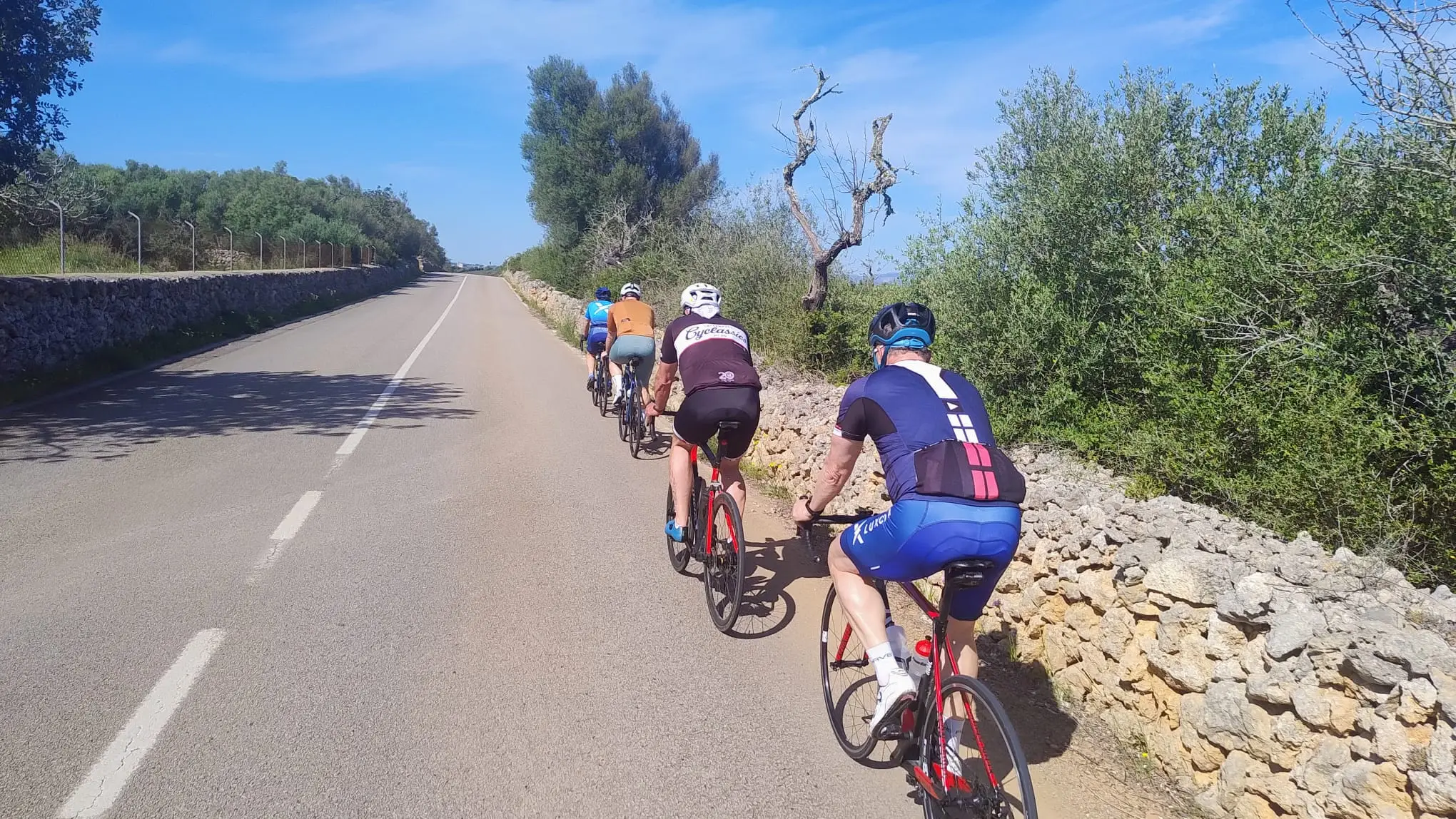 Can Picafort, Muro, Puig de Inca, Campanet, Sa Pobla 
Kaffeepause nach Absprache : photo 2 of 4 from the ride