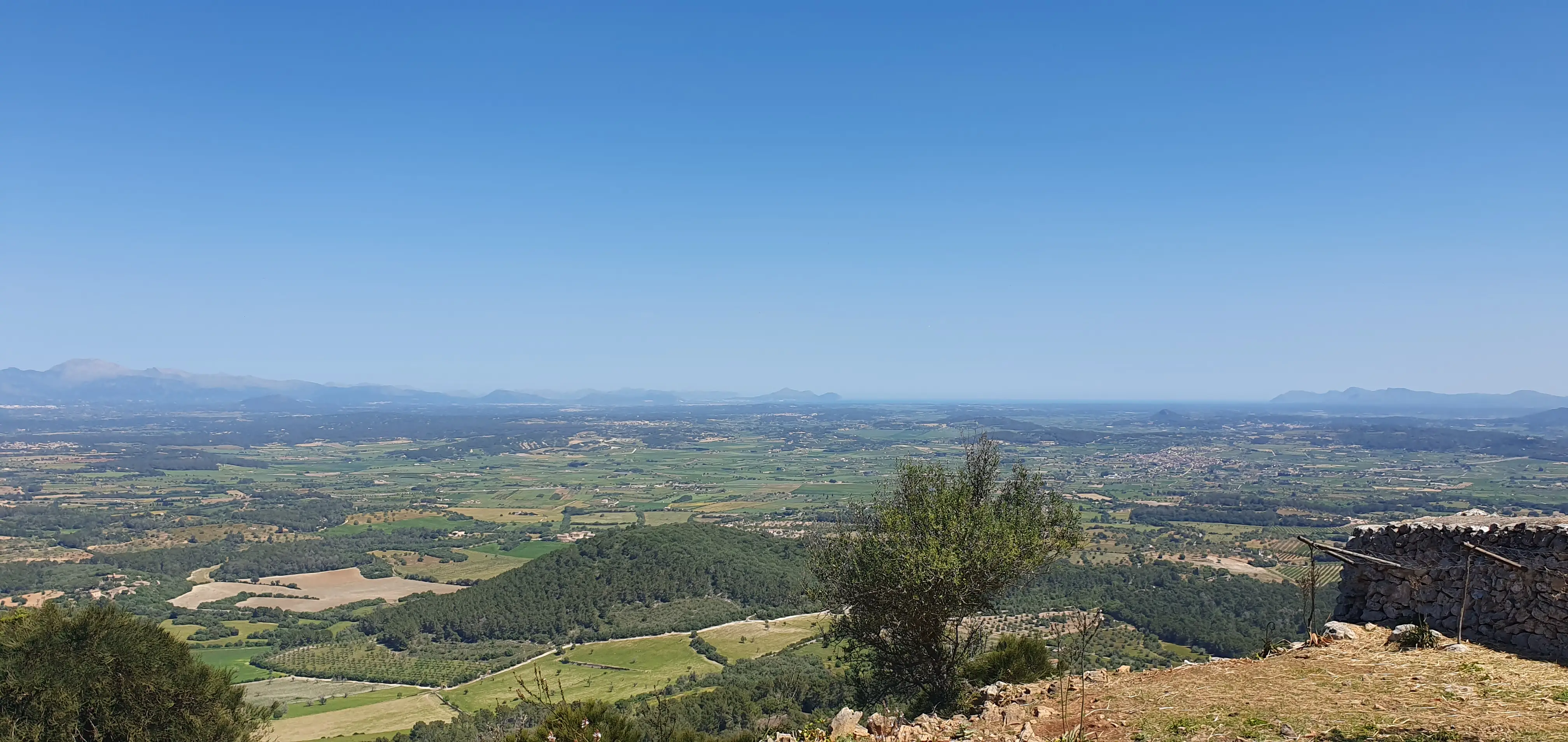 Sa Pobla - Muro - Llubi - Sineu - Montuiri - Puig de Randa - Sant Joan - Petra - Santa Margalida - Can Picafort - Alcudia: Foto 2 von 3 der Tour