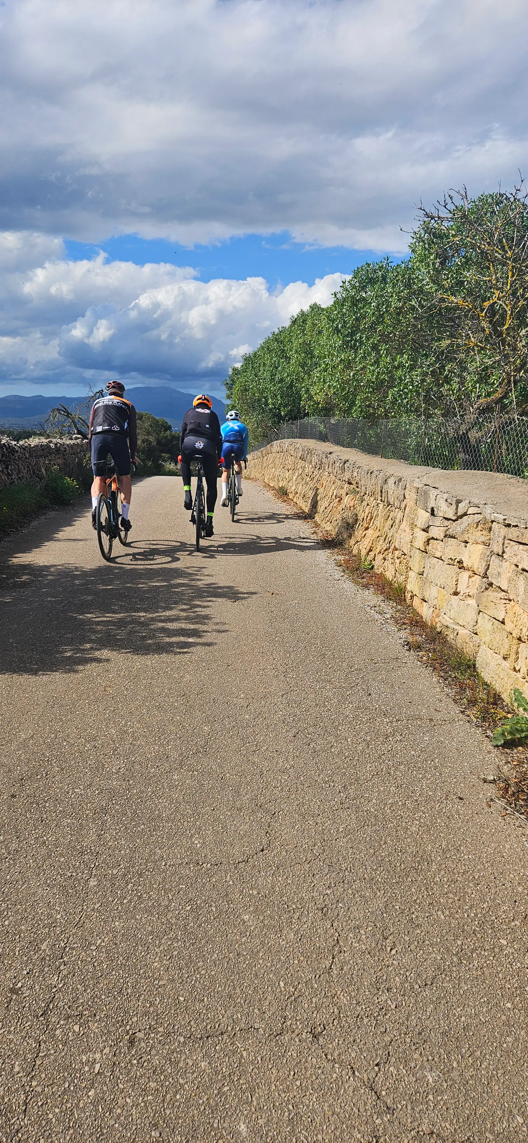 Puerto Alcudia - Muro - Sineu - St. Joan - Petra - St. Margalida Puert Alcudia: Foto 3 von 4 der Tour