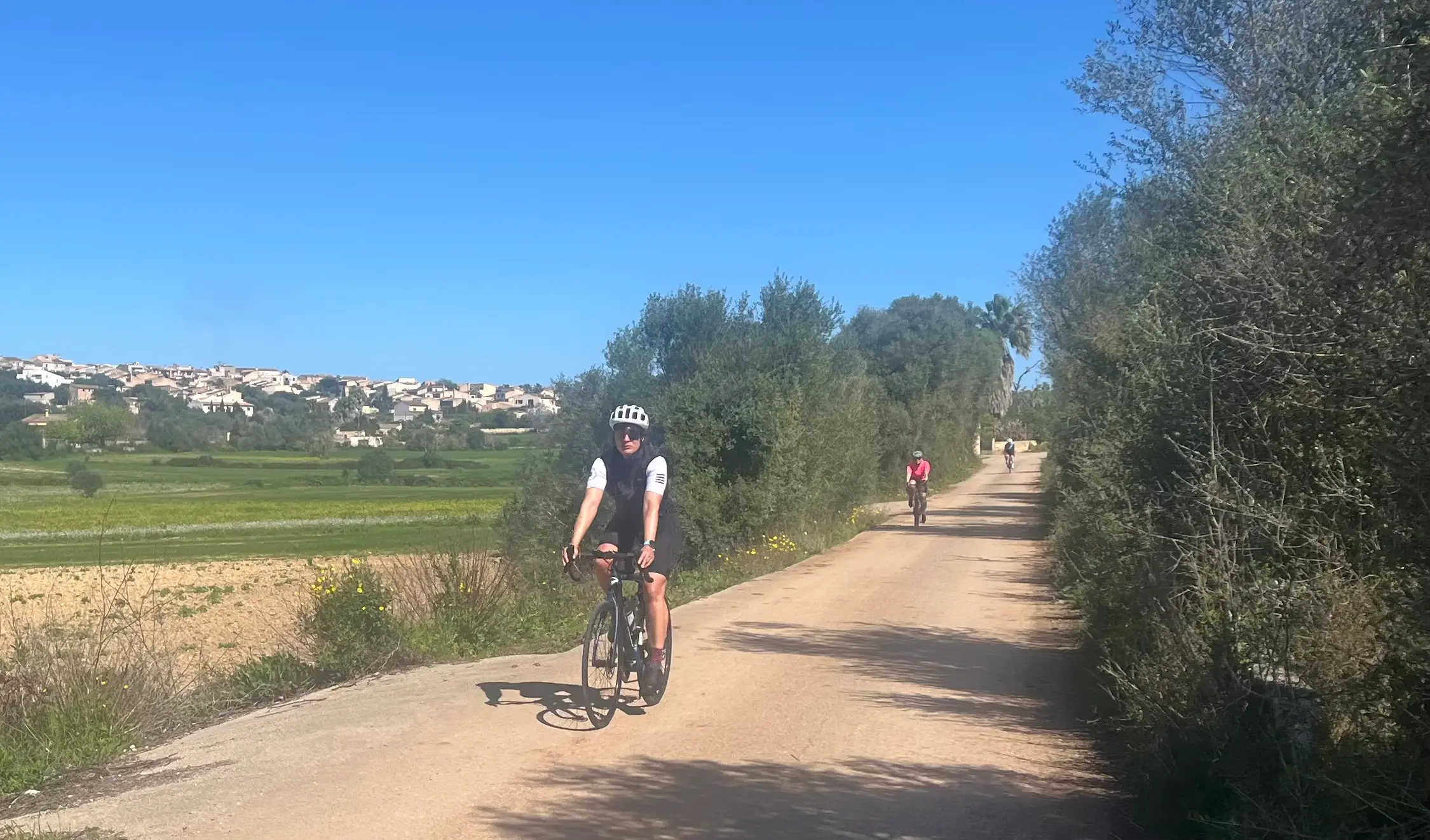 Can Picafort - Tal Muro - Maria d.l.Salut - Petra - Sineu - Llubi - Sa Pobla: photo 4 of 5 from the ride