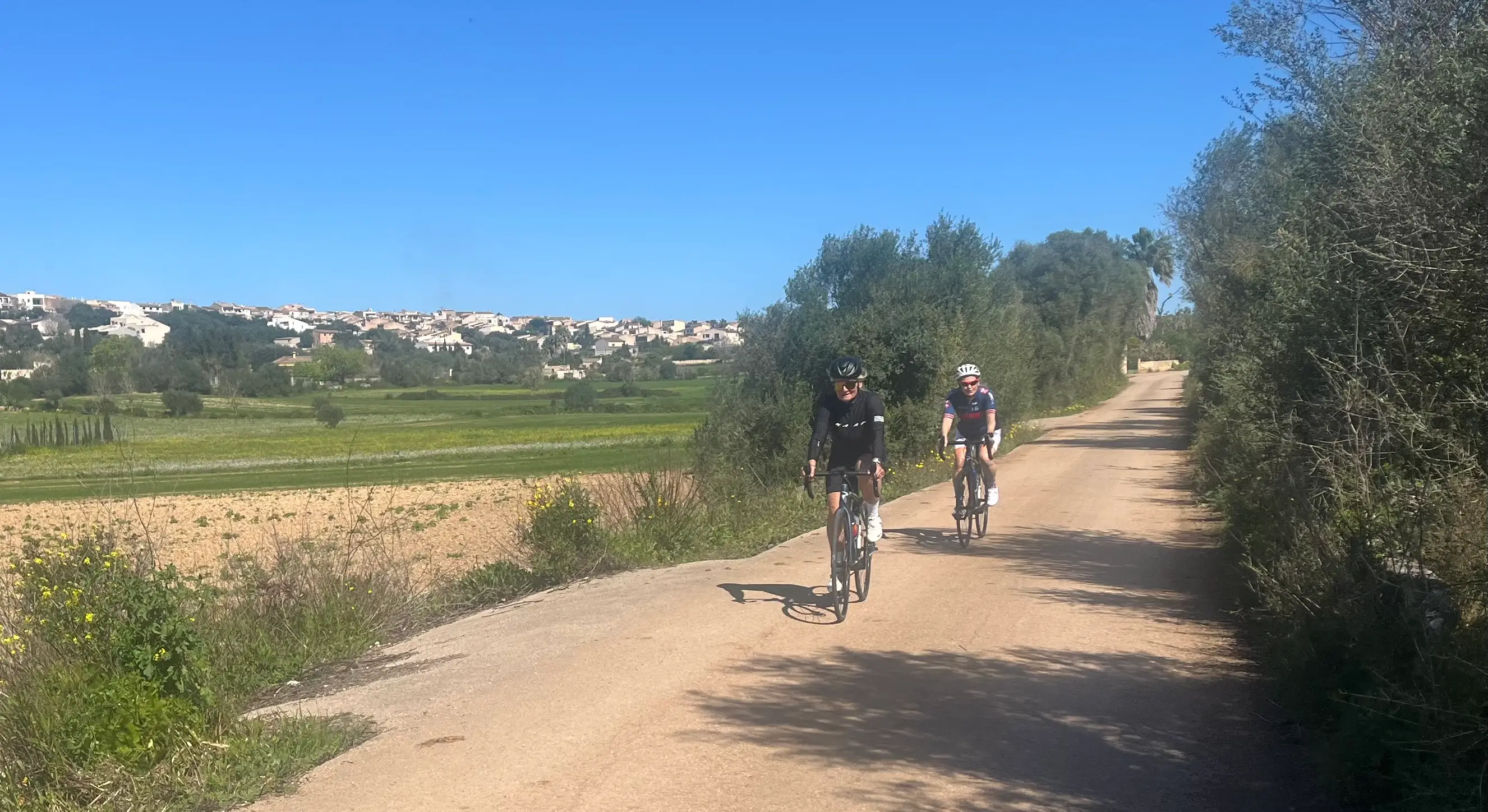 Can Picafort - Tal Muro - Maria d.l.Salut - Petra - Sineu - Llubi - Sa Pobla: photo 3 of 5 from the ride