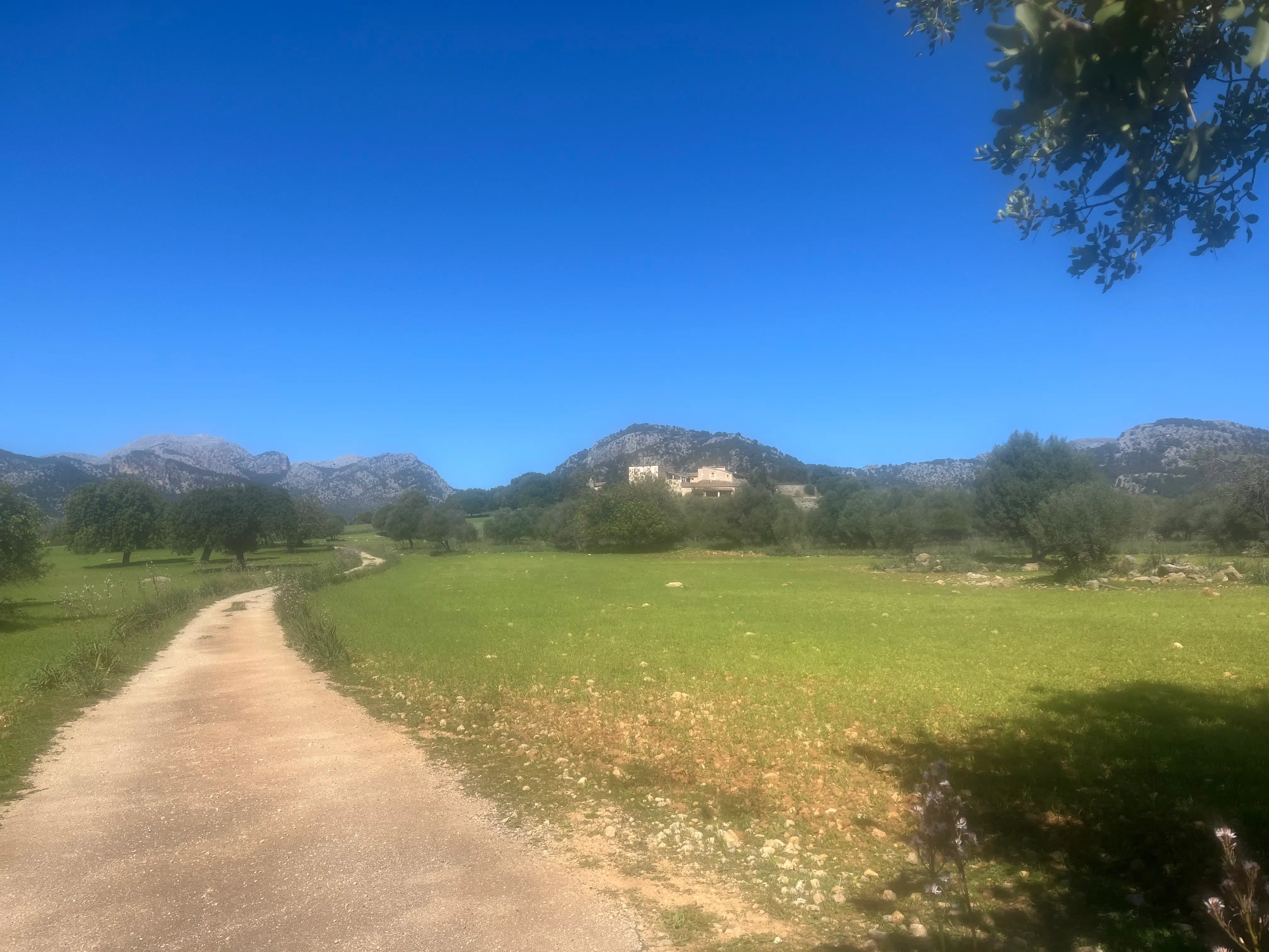 Gärten Pollenca/Golf - Maffay/Tal - Campanet - Caimari - Mancor d.l.Vall - Lloseta-Alaro-Binisalem-Sa Pobla-Alcudia: photo 4 of 5 from the ride