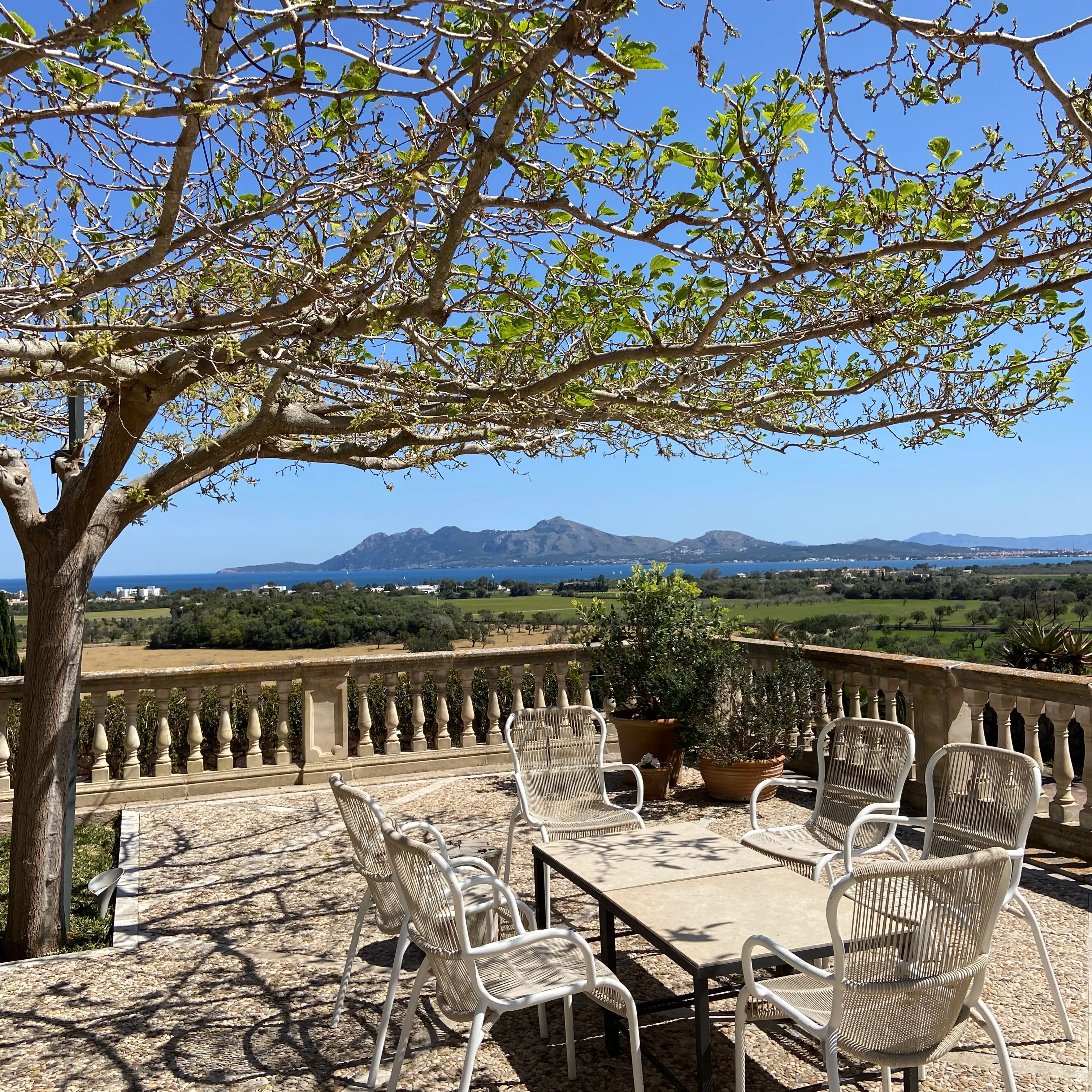 Sa Pobla - Puig de St. Magdalena - Moscari - Selva - Col de sa Batalla - Col de Femenia - Pollenca - Porto Alcudia: Foto 2 von 2 der Tour